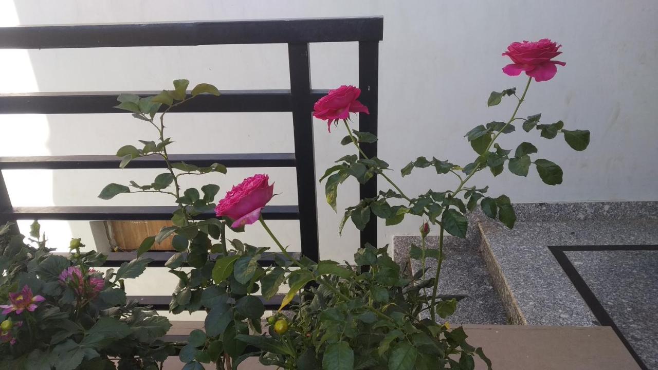 Mai Dalat Homestay Zewnętrze zdjęcie